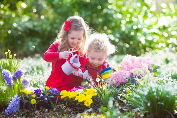 Planting Season might be beginning at last!